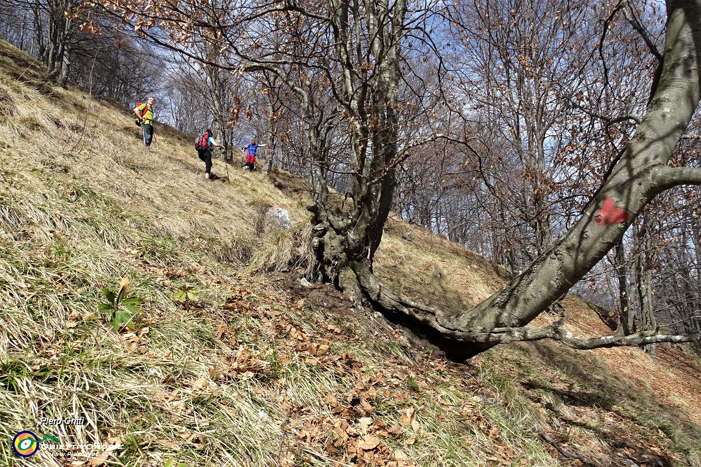 54 Ci inerpichiamo verso la cima del Pizzo Grande.JPG